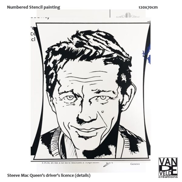 Mod/036 - Licence Pilote Steeve Mc Queen